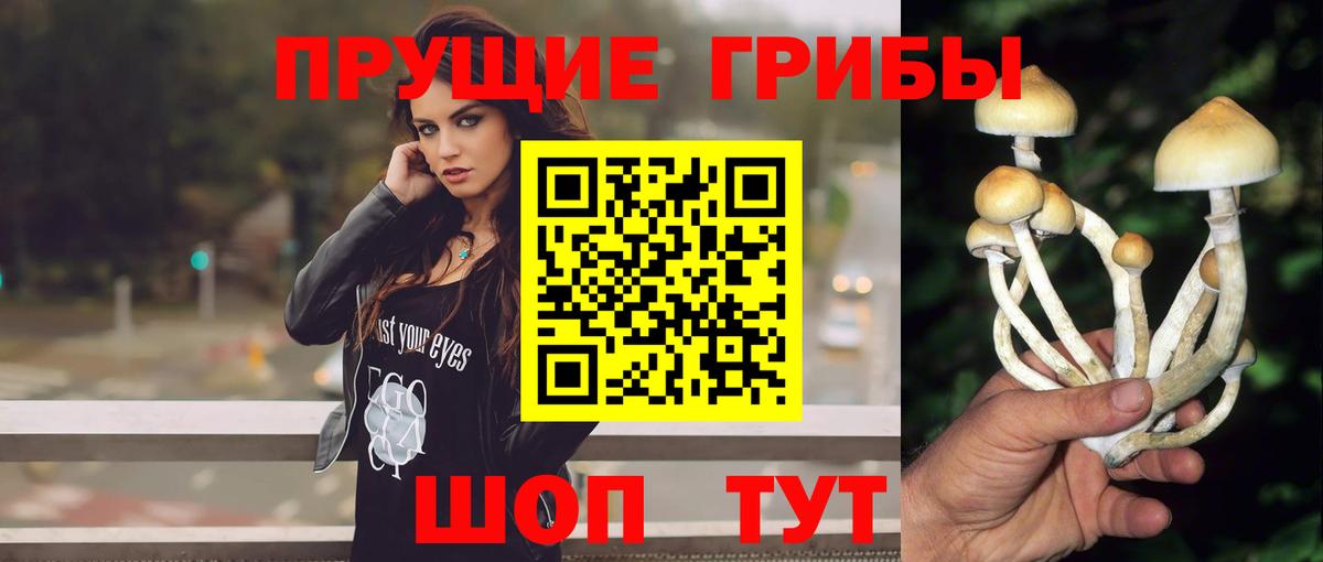 продажа наркотиков  Вход с VPN  Лиски  Галлюциногенные грибы мухоморы 